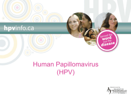 HPV Presentation File - Learning on the Loop