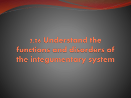 Functions and Disorders of the Integumentary System