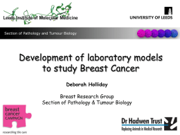 Development of in-vitro Models to Study Breast Cancer Progression