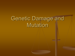 Genetic Damage And Mutation