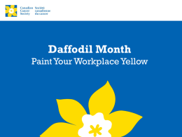 Daffodil Month 2014: Revenue Results