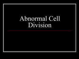 Abnormal Cell Division