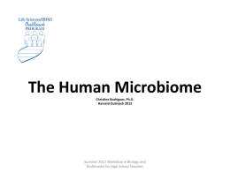 The Human Microbiome Summer 2012 Workshop in Biology and Christine Rodriguez, Ph.D.