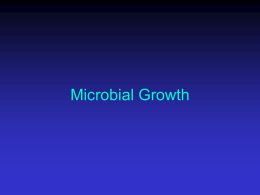 growth bacterial