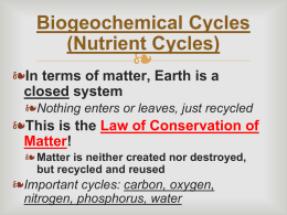 Biogeochemical Cycles (Nutrient Cycles)