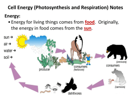 Cell Energy PowerPoint File