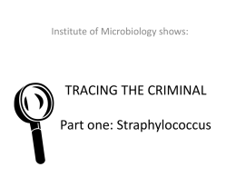 Why „coagulase negative staphylococci“?