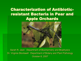 Characterization of Antibiotic-resistant Bacteria in Pear and Apple