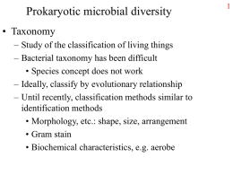 Eukaryotic Microbial Diversity