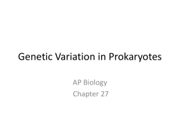 Genetic Variation in Prokaryotes