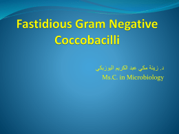Fastidious Gram Negative Coccobacilli