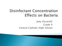 Ziccarrelli Disinfectant Concentration Effects on Bacteriax