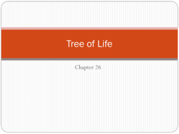Tree of Life
