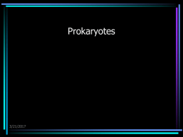 08 Prokaryotes - U of L Class Index