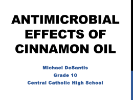 Antimicrobial Effects of Cinnamon Oilx