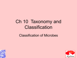 Ch 10 Taxonomy and Classification