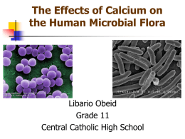 Obeid The Effects of Calcium on the Human Microbial