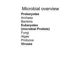 microbes overview