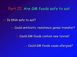 Genetically Modified Foods: Miracles or Monsters?