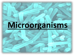 2010-2011 Microorganisms Powerpoint(1)