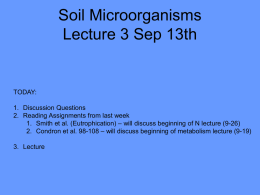 NEW LECTURE 3 CLASS - Michigan State University