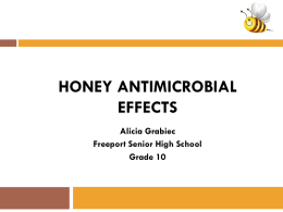 Which Concentration of Honey Inhibits Bacterial Growth