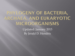Phylogeny of Bacteria, Archaea, and Eukaryotic