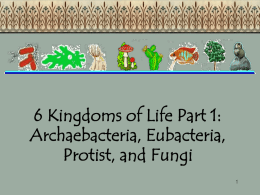 6 Kingdoms of Life Part 1