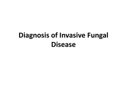 Diagnosis of Invasive Fungal Disease “Gold standard,” blood cultures
