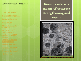 05-31557693 Bioconcrete