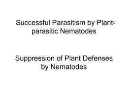Interactions between Nematodes and Plants