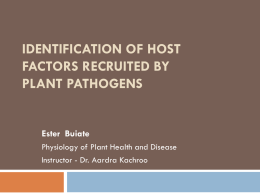Identification of host factors recruited by plant pathogens