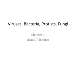 Viruses, Bacteria, Protists, Fungi