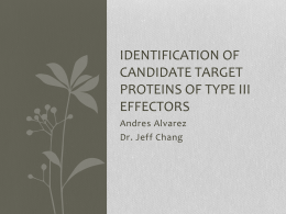 Identification of candidate target proteins of type III effectors