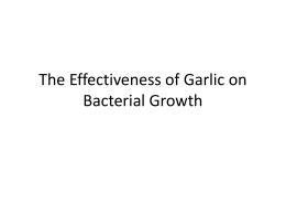 The Effectiveness of Garlic on Bacterial Growth