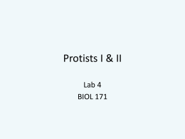 protists1and2 - Think. Biologically.