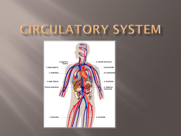 Circulatory System - Madison County Schools