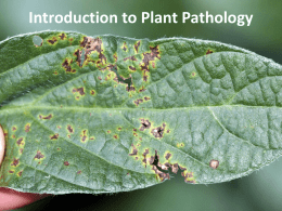 05 Introduction to Plant Pathology