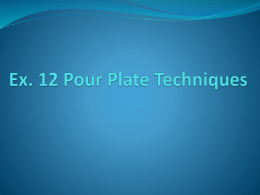 Ex. 12 Pour Plate Techniques