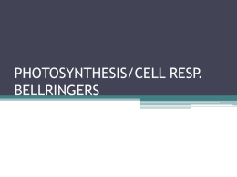 PHOTOSYNTHESIS/CELL RESP. BELLRINGERS