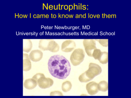 My Favorite Cell: Neutrophil production and function