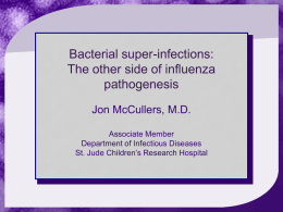 Viral Bacterial Synergies - Options For The Control of Influenza VII