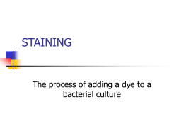STAINING