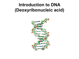 Introduction to DNA (Deoxyribonucleic acid)