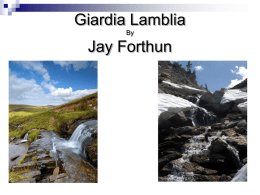 Jay-Giardia Lamblia