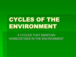 CYCLES OF THE ENVIRONMENT