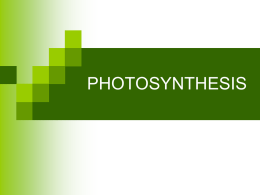 Powerpoint Presentation: Photosynthesis Introduction