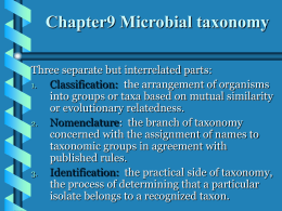 Chapter 12 Microbial Evolution and Systematics
