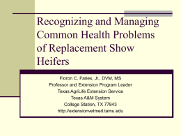 Recognizing and Managing Common Health Problems of Beef Cattle