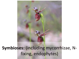 Symbioses - Phylodiversity Network